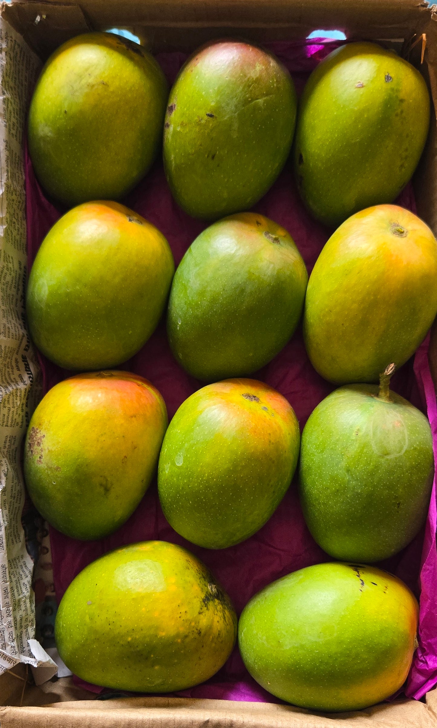 Devgad Alphonso Mangoes (250-299 gm/piece)