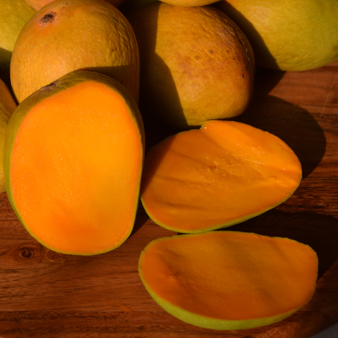 KING SIZE Devgad Alphonso Mangoes (above 300gm/piece)