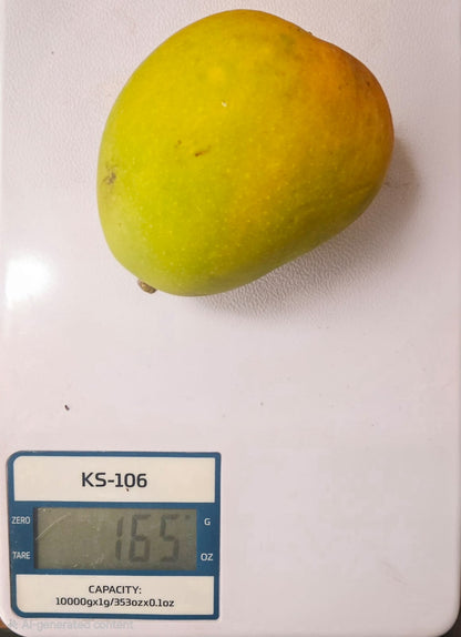 Devgad Alphonso Mangoes (150-199 gm/piece)