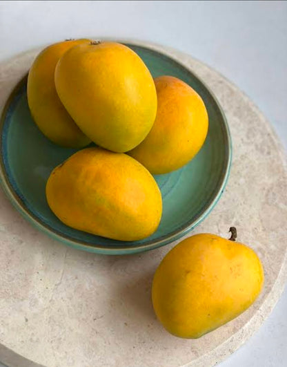 KING SIZE Devgad Alphonso Mangoes (above 300gm/piece)