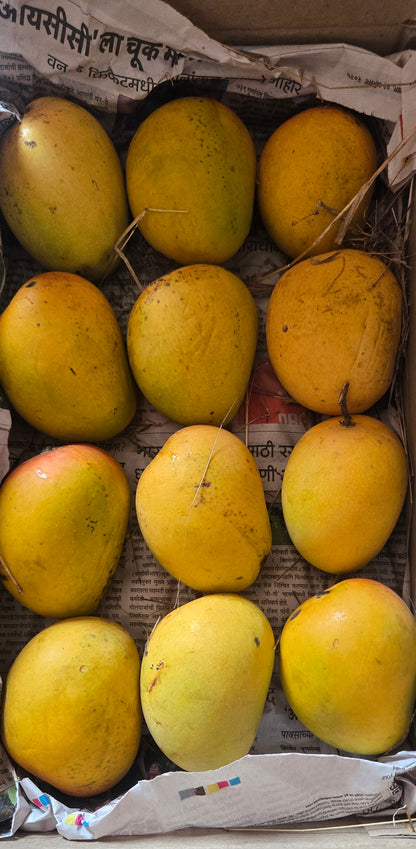Devgad Alphonso Mangoes (200-249 gm/piece)